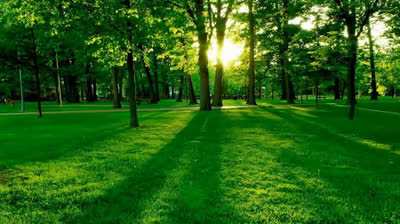 Relaxing Music at Sunset