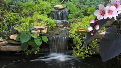 Relaxing Music in Harmony