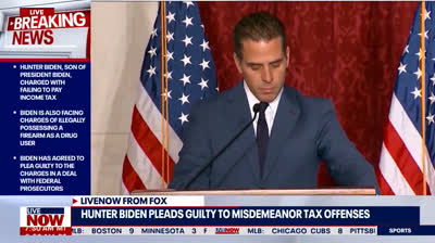 Hunter Biden pleads guilty to 3 felonies before Justice Department