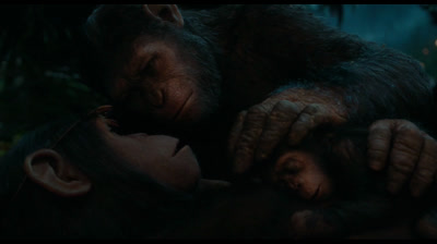 La Planète des singes  l'affrontement. vf